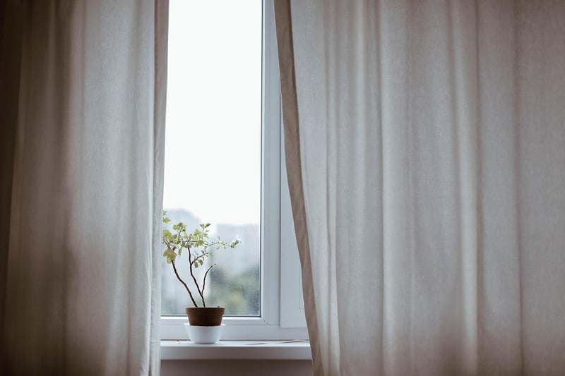 Indoor planting ideas