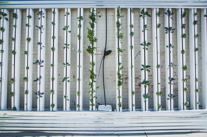Vertical hydroponics